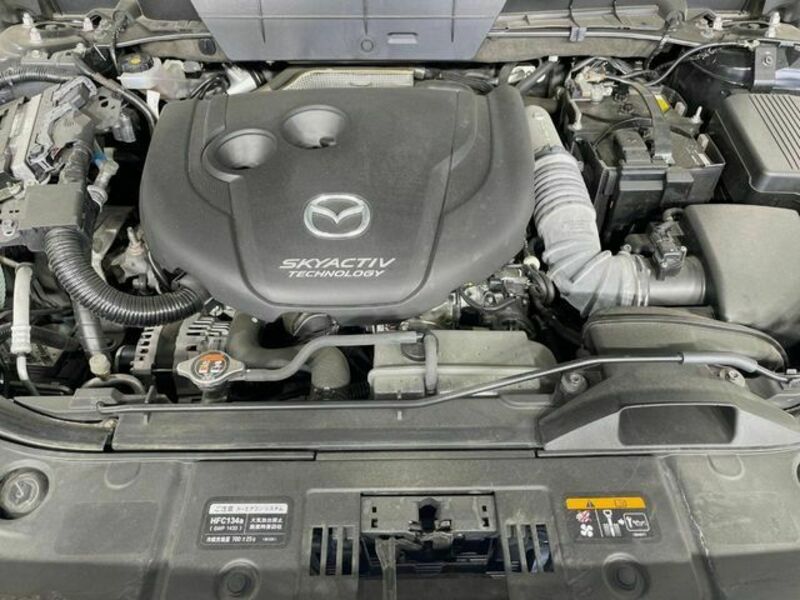CX-8
