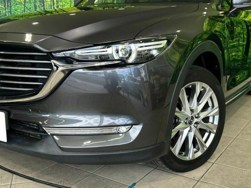 CX-8