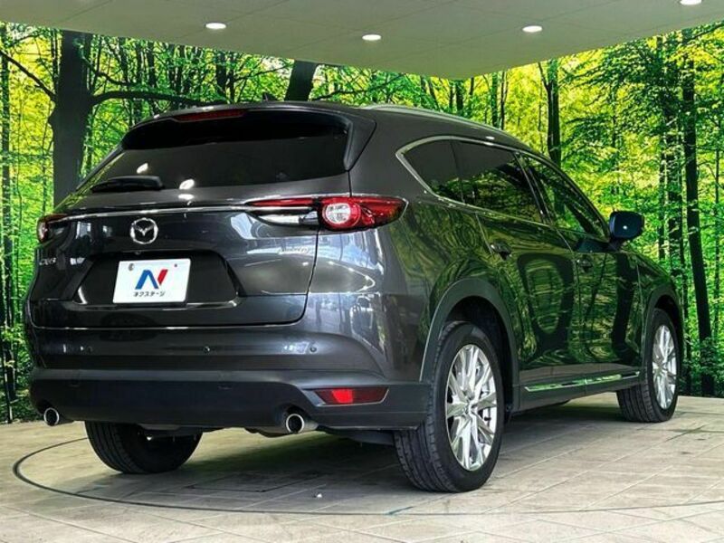 CX-8