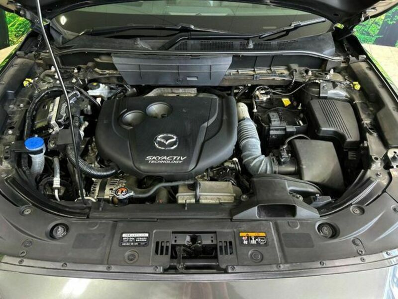 CX-8