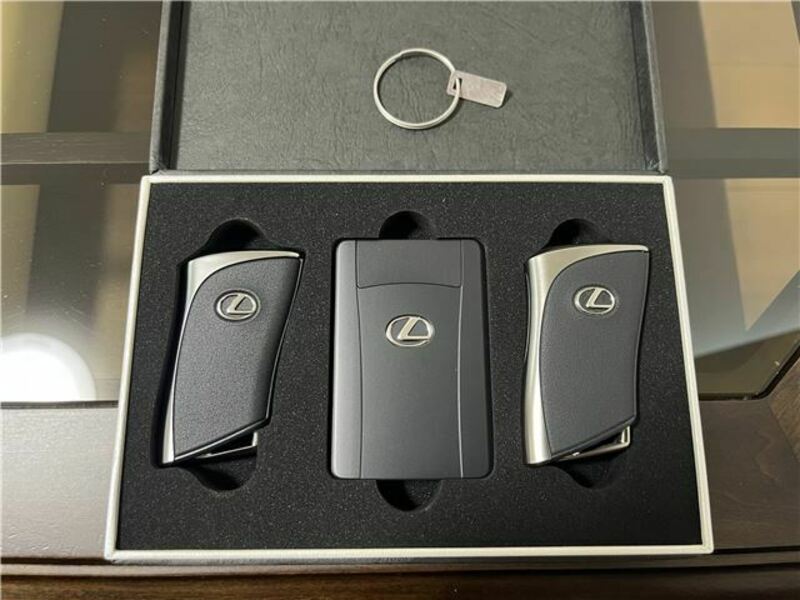 LX