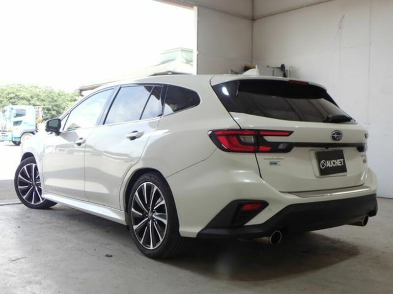 LEVORG