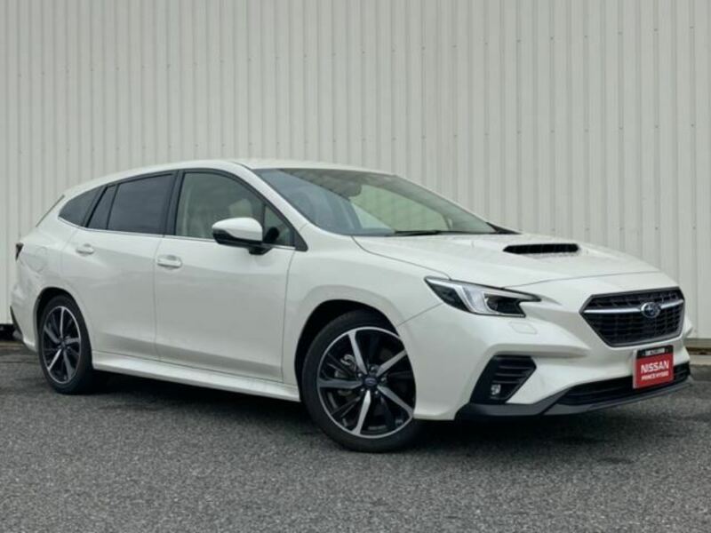 LEVORG-0