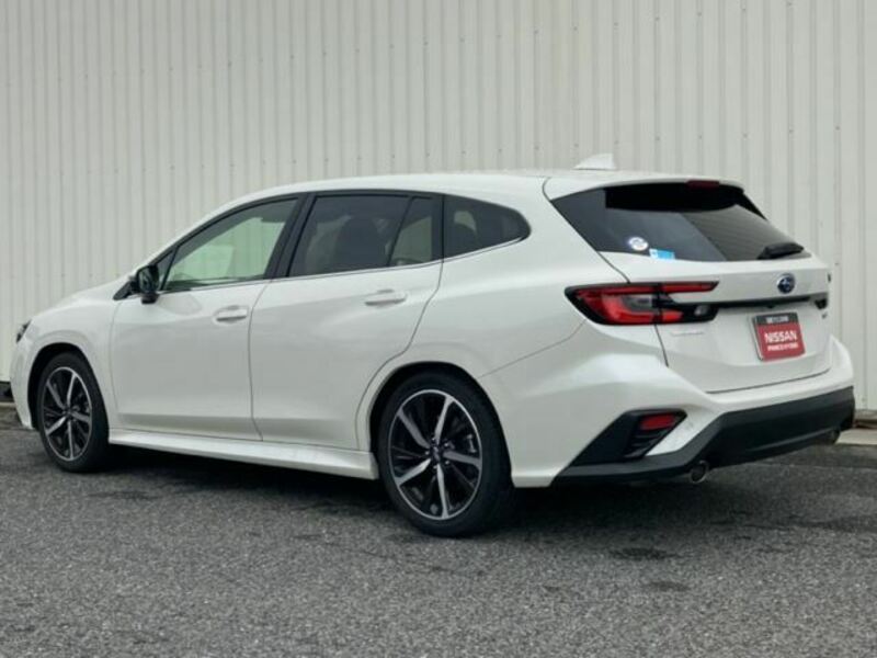 LEVORG