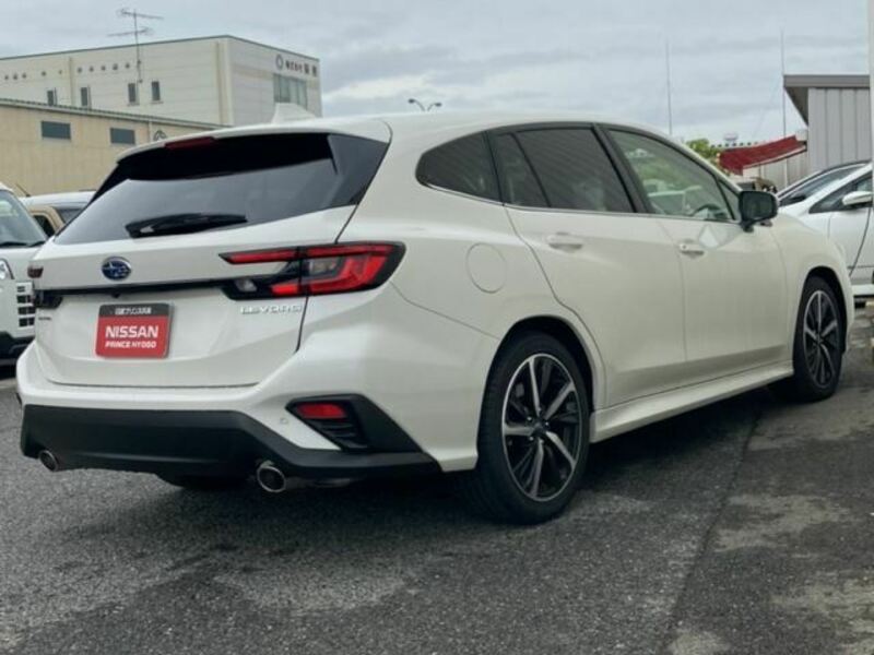 LEVORG