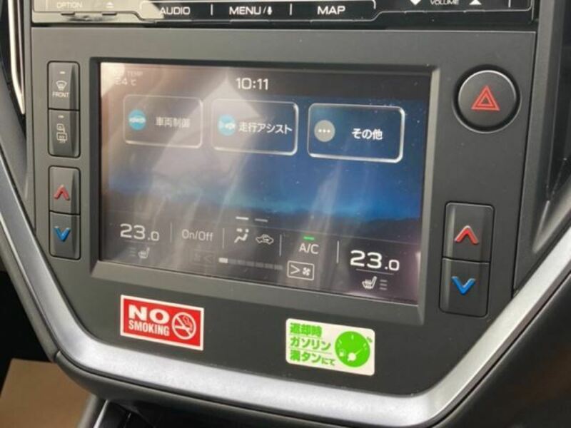 LEVORG