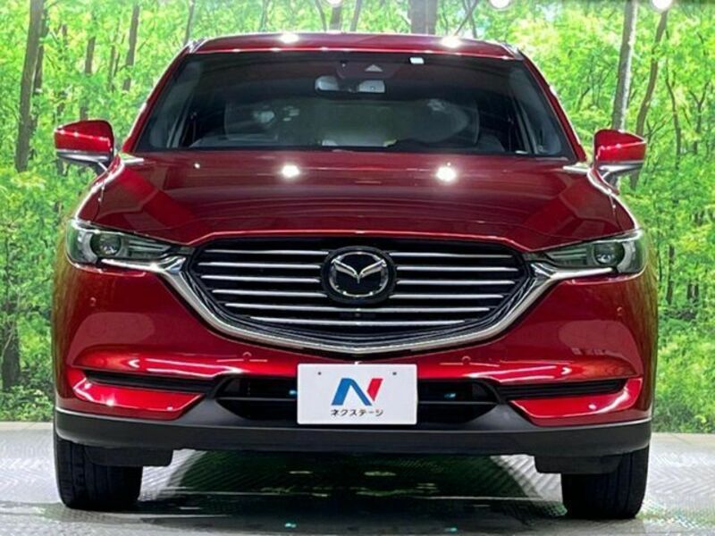 CX-8