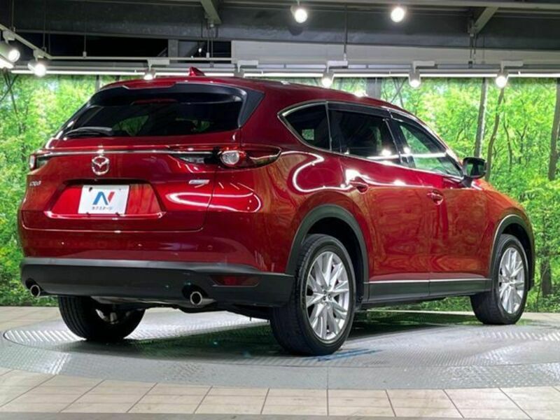 CX-8