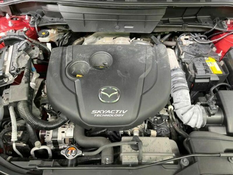 CX-8