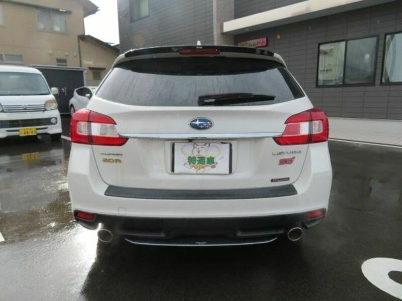 LEVORG