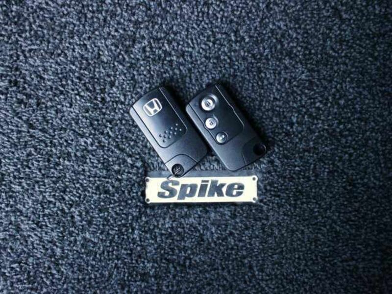 FREED SPIKE