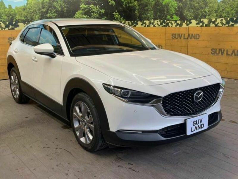 CX-30