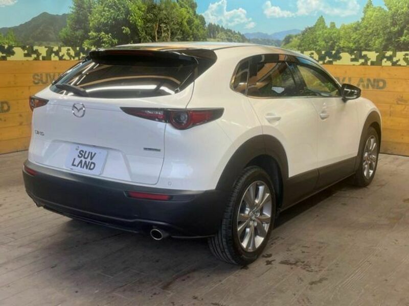 CX-30