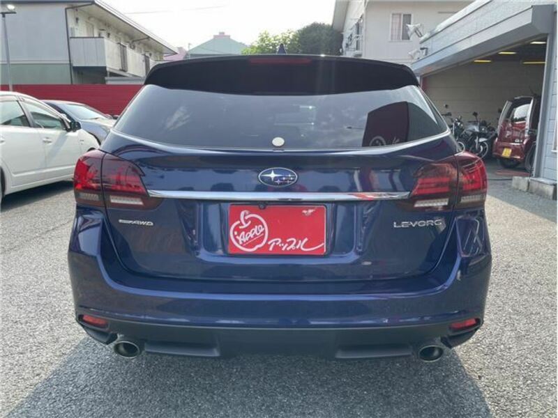 LEVORG