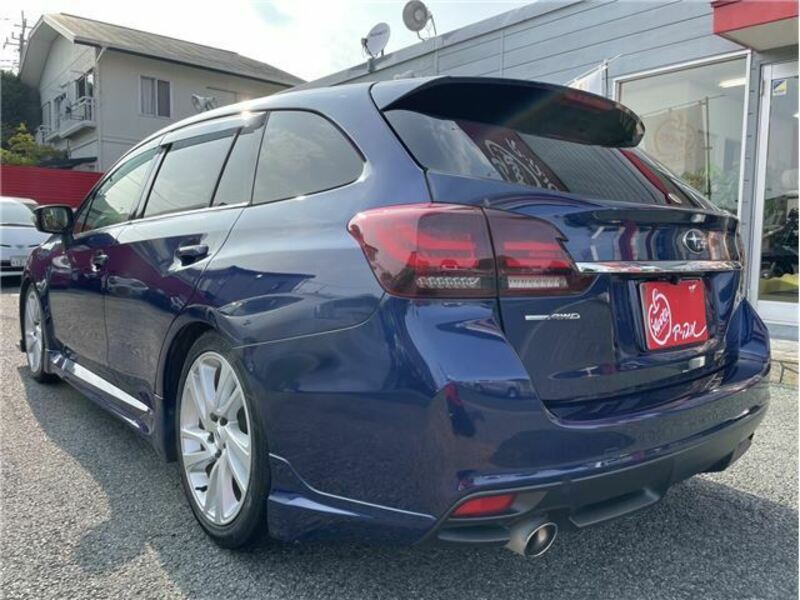 LEVORG