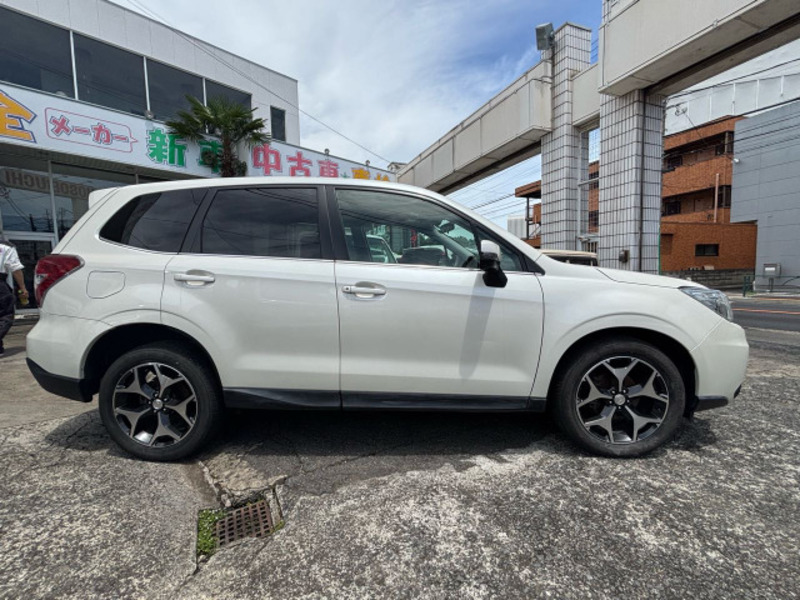 FORESTER