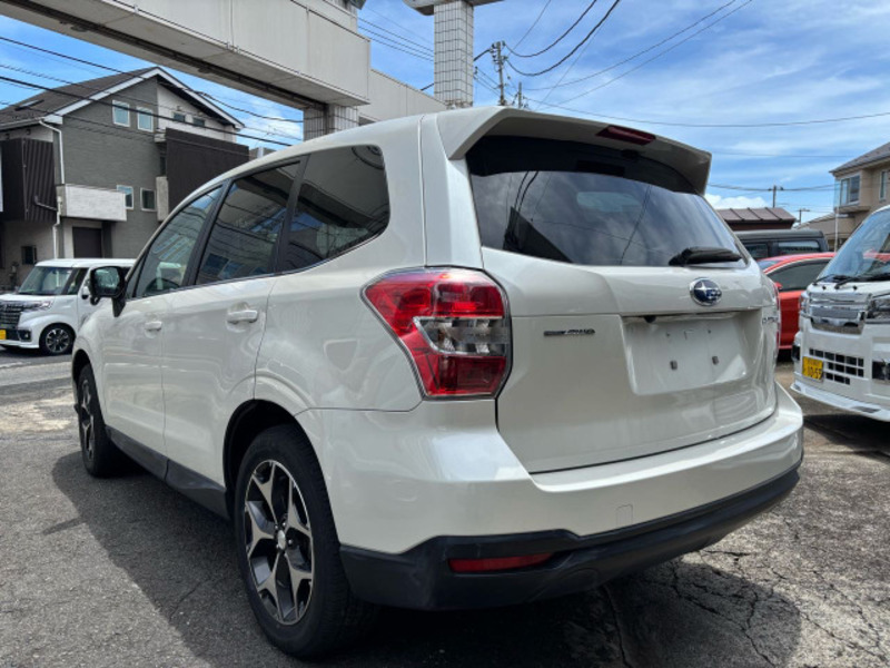 FORESTER