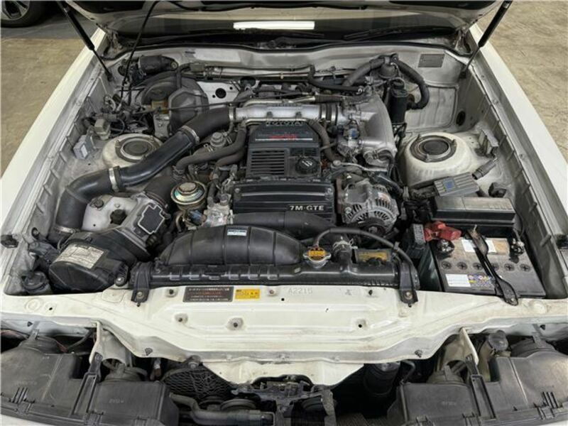 SOARER