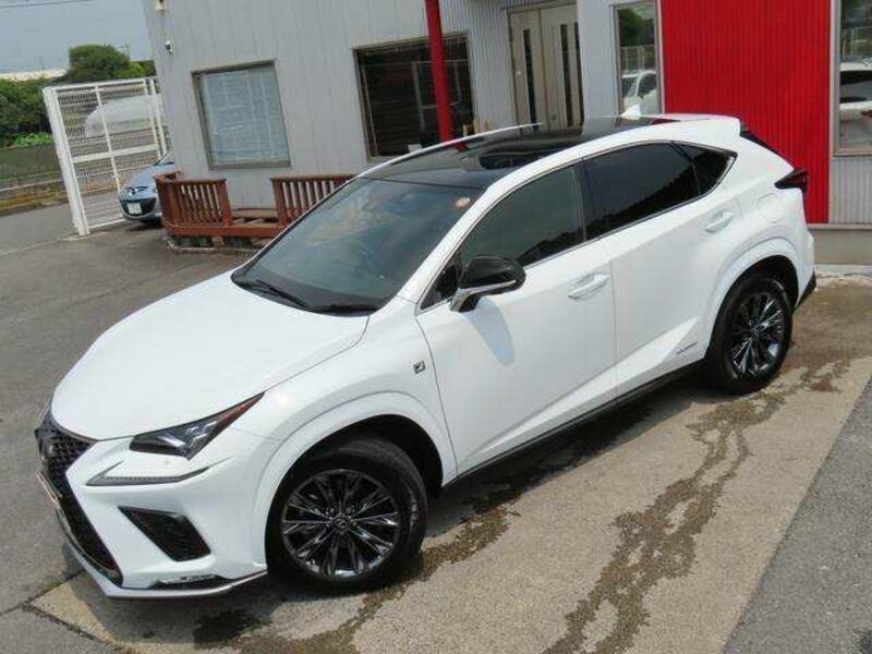 NX