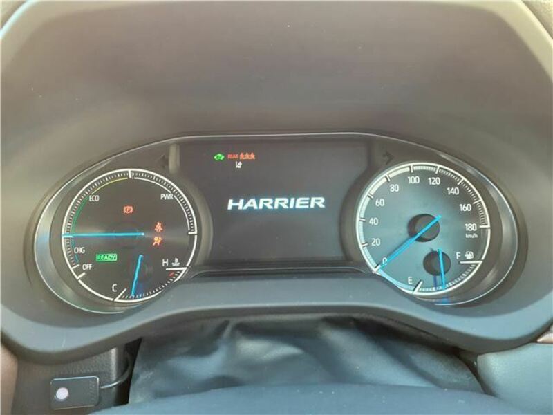 HARRIER