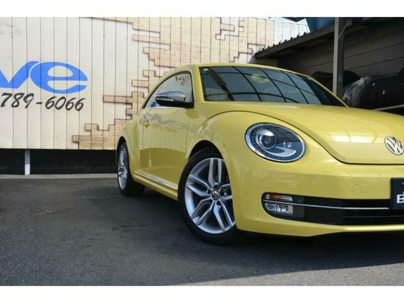 THE BEETLE