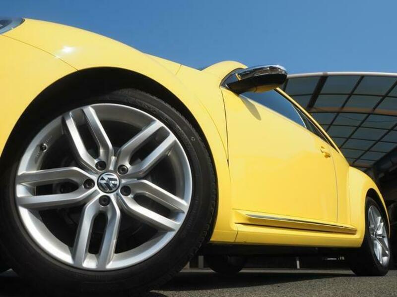 THE BEETLE