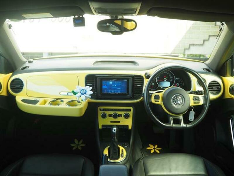 THE BEETLE