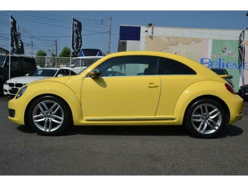 THE BEETLE