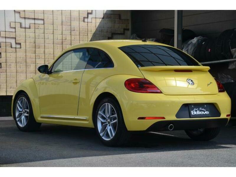 THE BEETLE