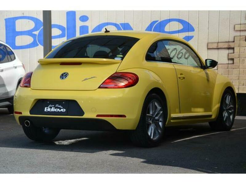 THE BEETLE