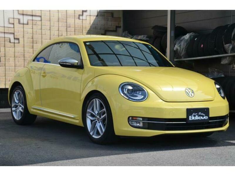 THE BEETLE