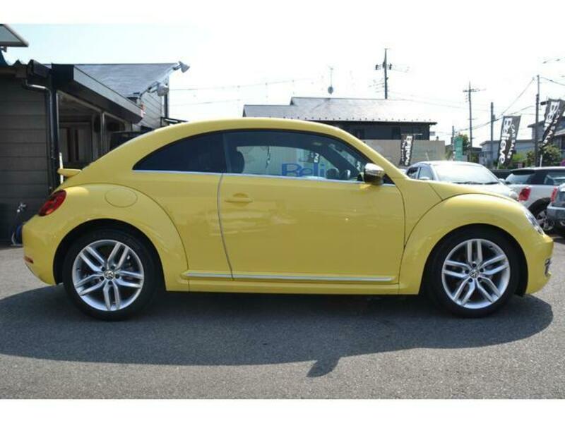 THE BEETLE
