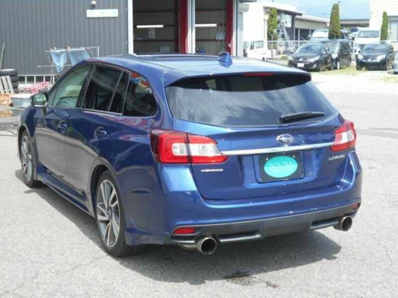 LEVORG