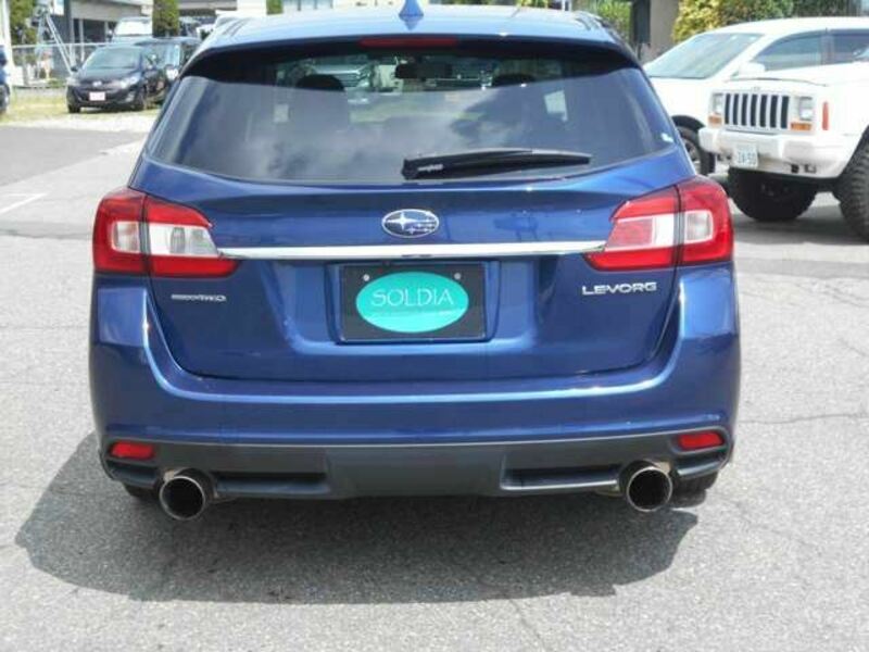 LEVORG