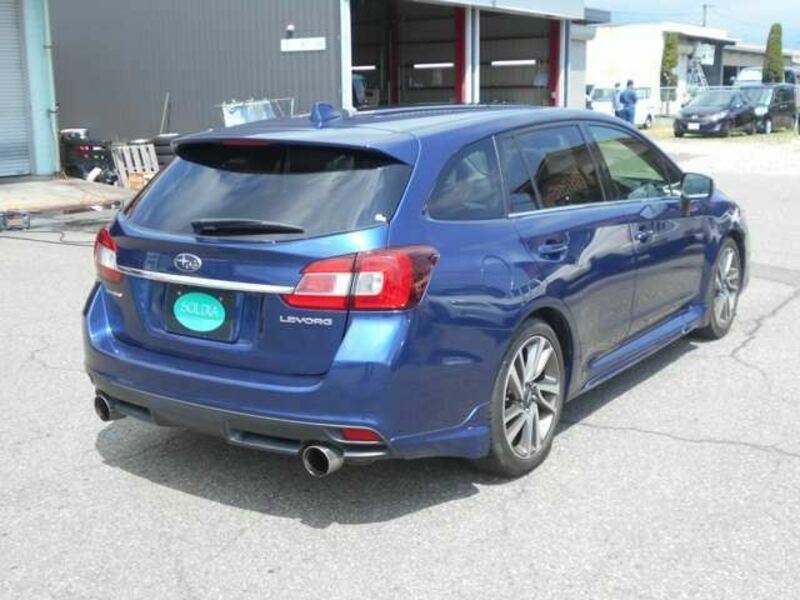 LEVORG