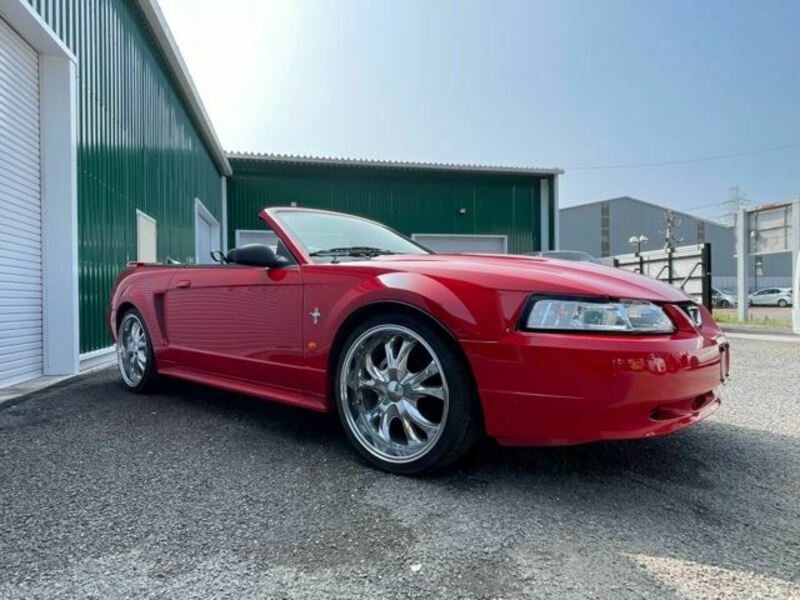 MUSTANG
