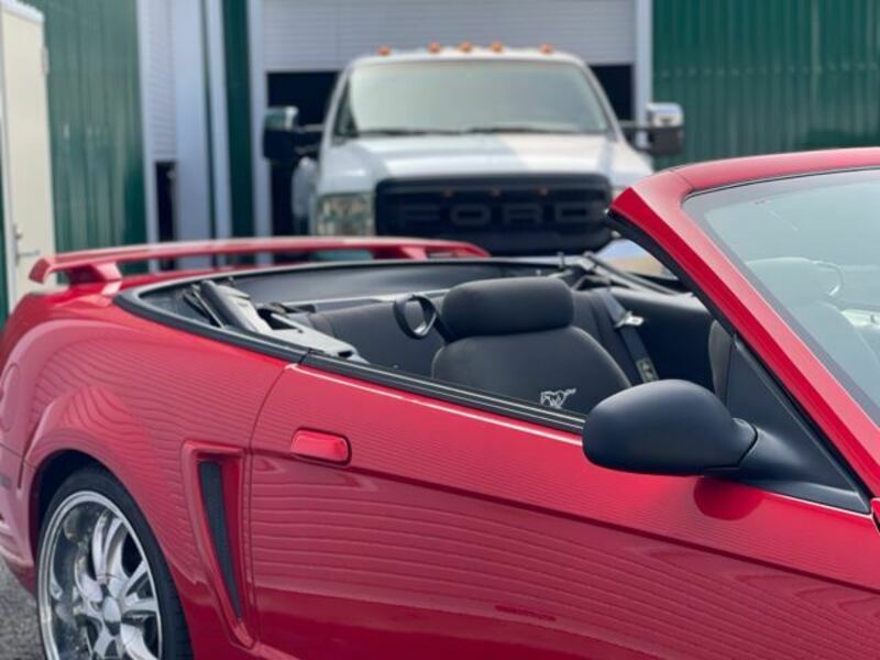 MUSTANG