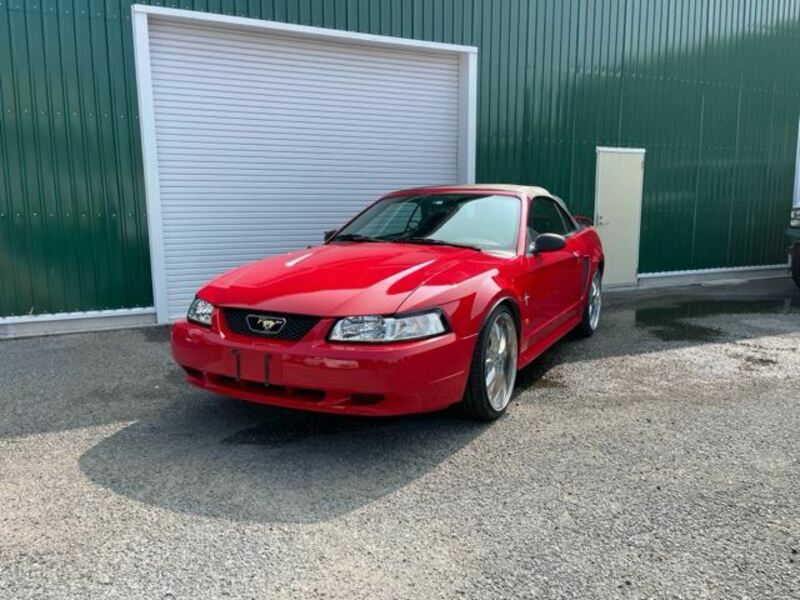 MUSTANG