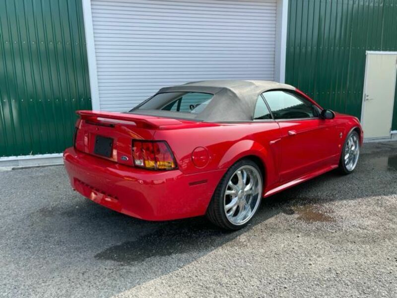 MUSTANG