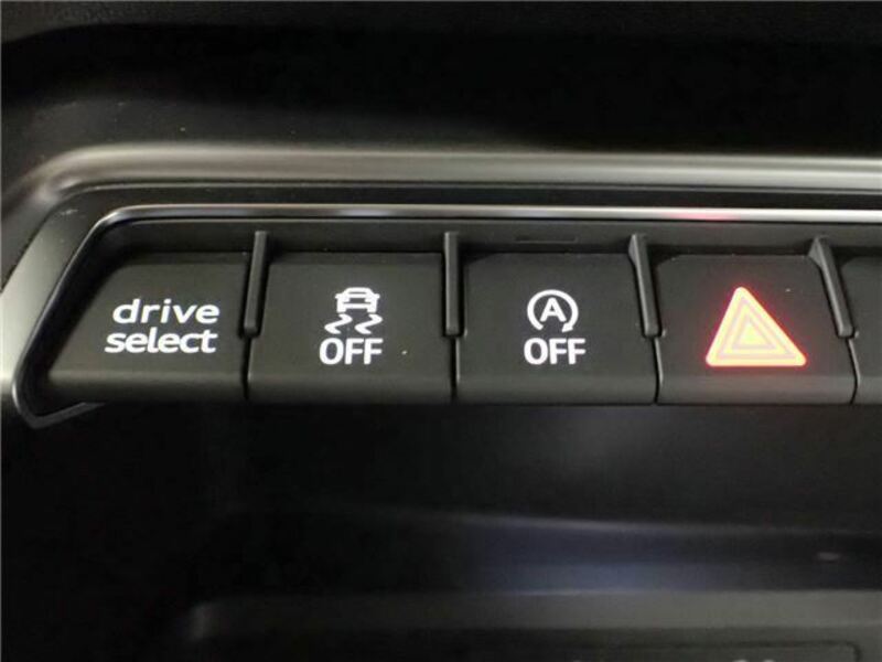 A3