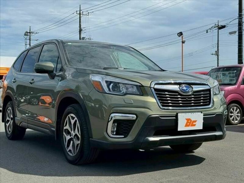 FORESTER