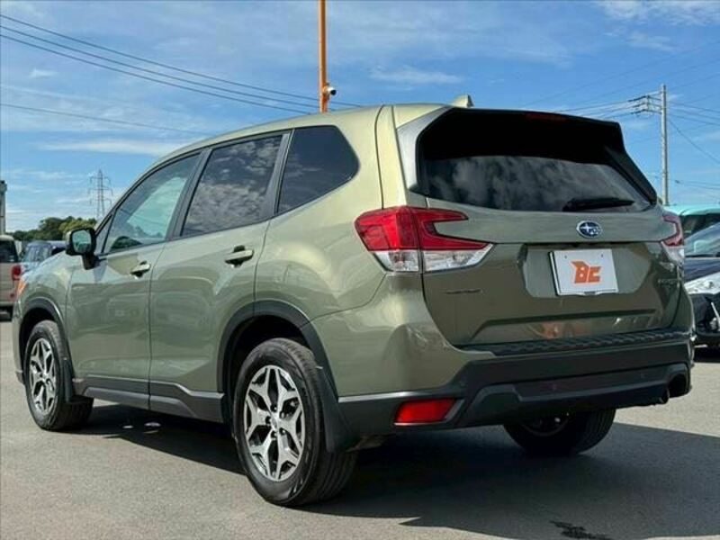 FORESTER