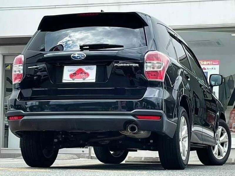 FORESTER