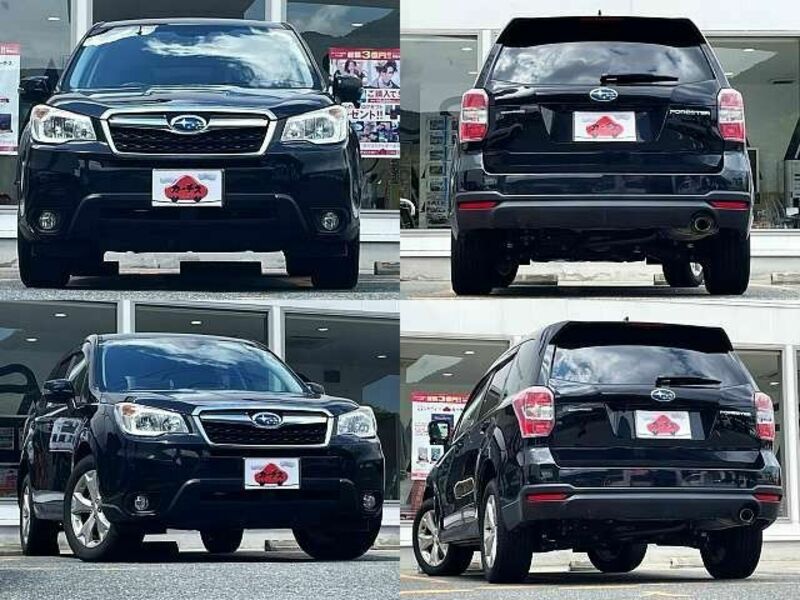 FORESTER