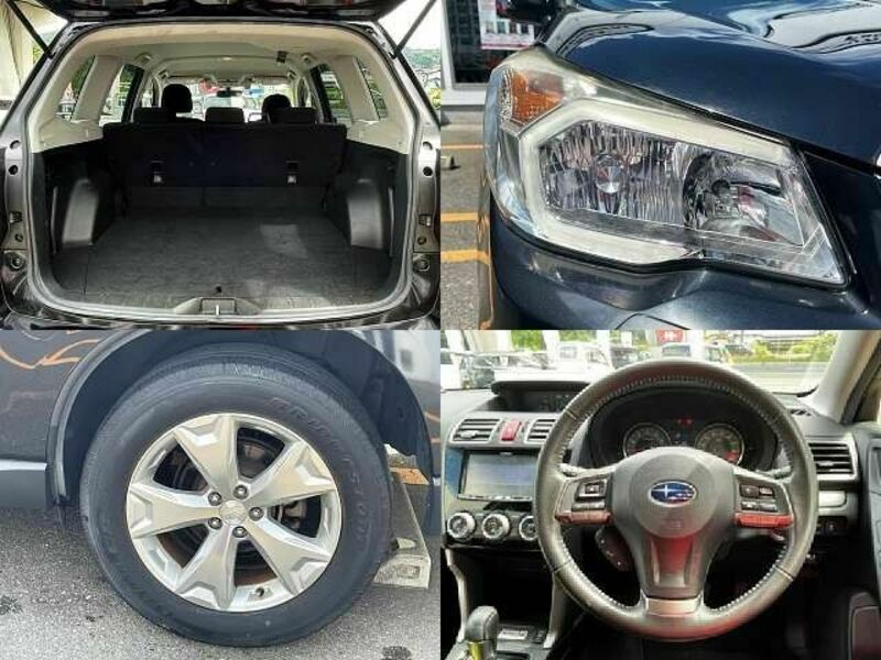 FORESTER