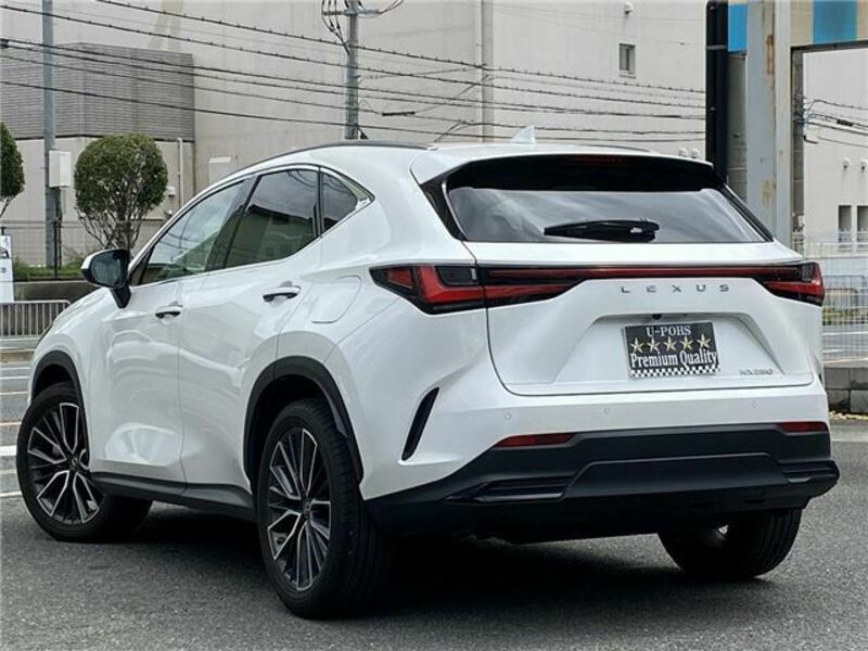 NX