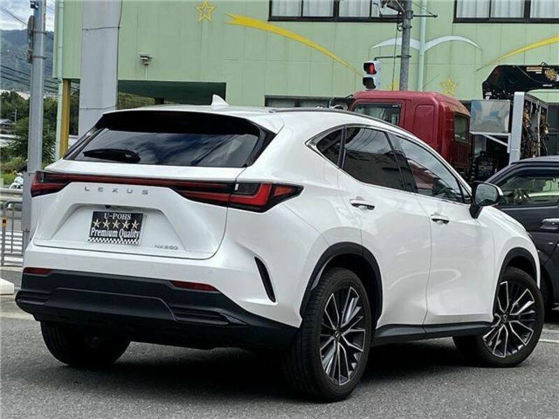 NX