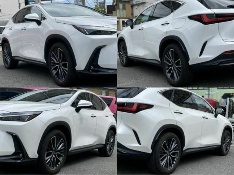 NX