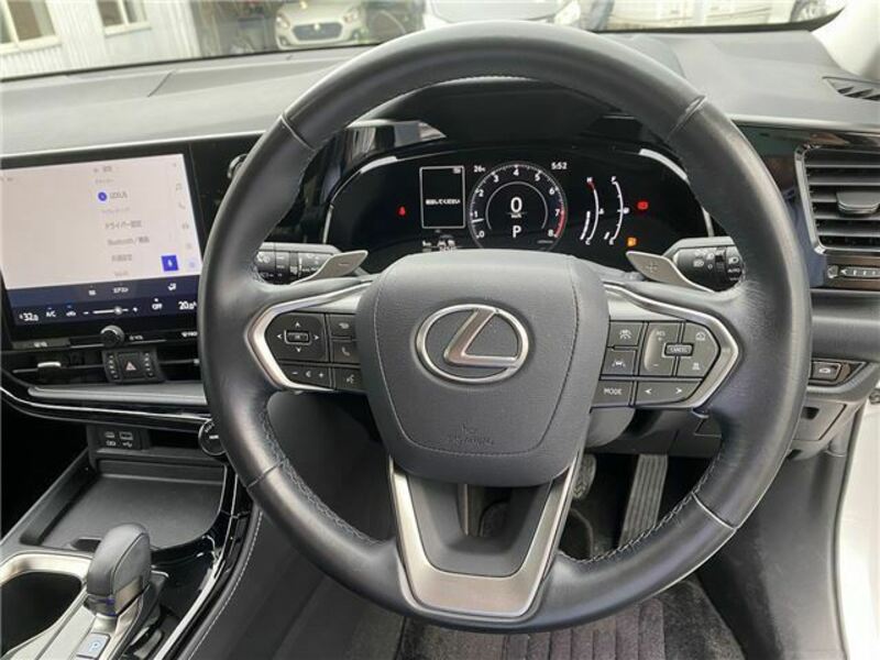 NX