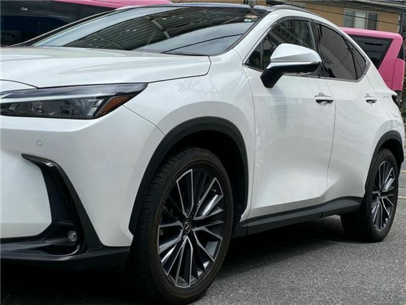NX